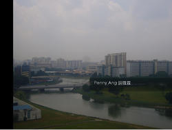 The Riverine By The Park (D12), Apartment #142712402